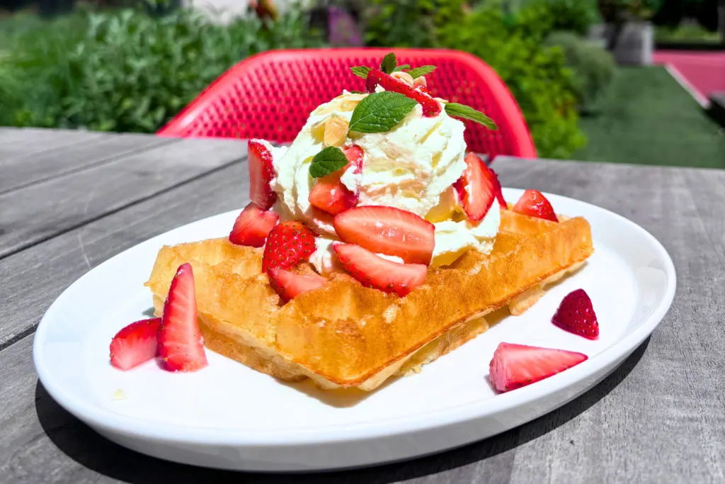 Waffel mit Eis