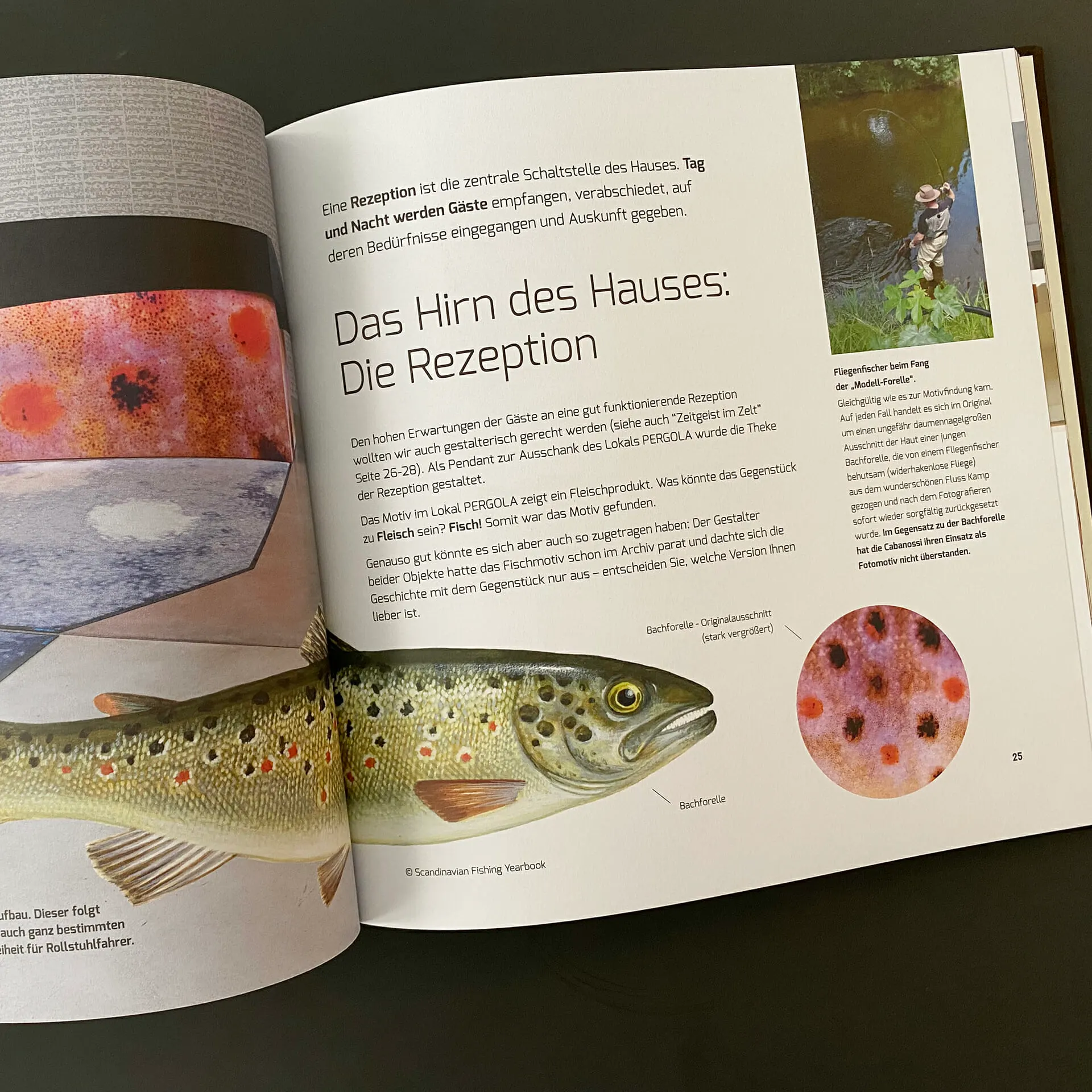 Eine Doppelseite aus dem Booklet: Das Hirn des Hauses, die Rezeption