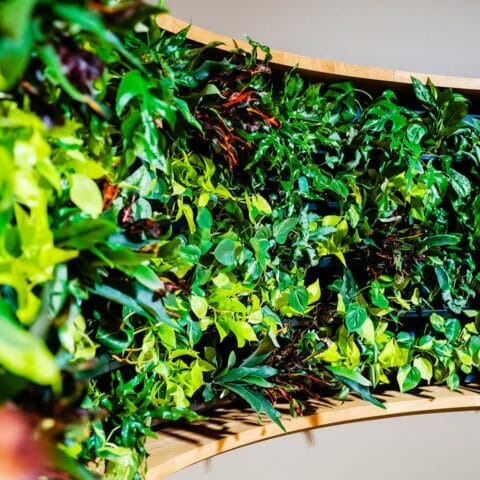 Grüne Pflanzenwand im Mezzanin Seminarzentrum