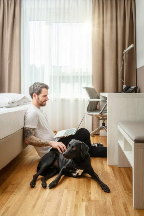 Gast sitzt angelehnt am Bettkasten und arbeitet am Laptop. Ein kleiner schwarzer Hund sitzt neben ihm.